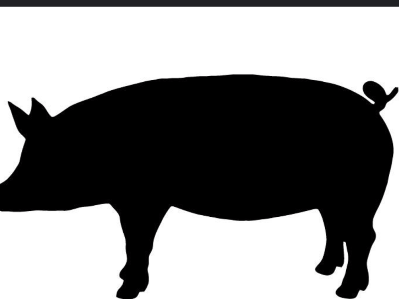 First-ever Kidney Xenotransplant with&nbsp;LVAD